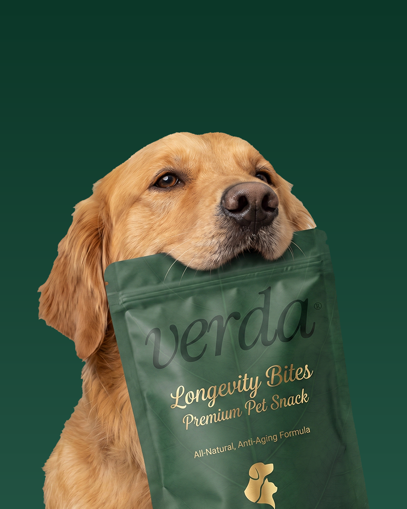 Longevity Bites packaging